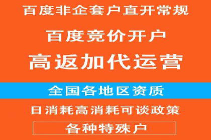 百度推广案例：关键词优化与品牌推广